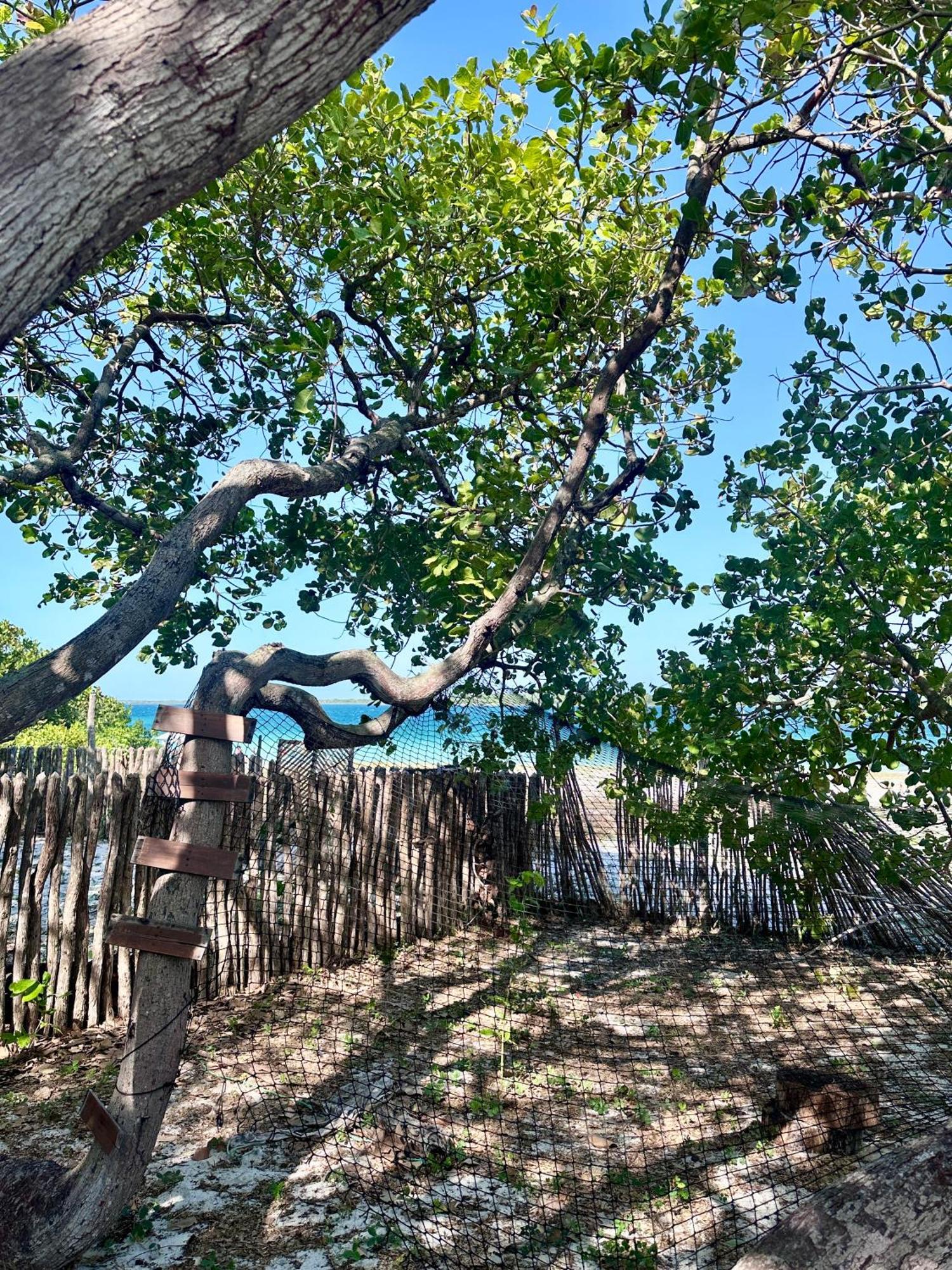 Manay Lagoa Do Paraiso, Casa 2 Quartos Na Beira Da Lagoa Villa Jijoca de Jericoacoara Ngoại thất bức ảnh